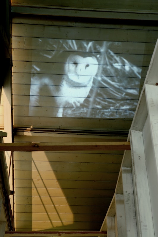 Install View of 'A Short Ride In A Fast Machine; 1985-2005' featuring work by David Noonan at 200 Gertrude Street, 2005.