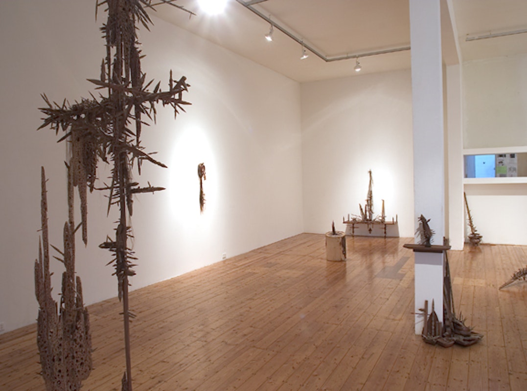 Installation view of Nick Mangan, 'The Colony', at 200 Gertrude Street, 2005.