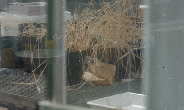 The Flood, set photography by Damien Laing, 2024.