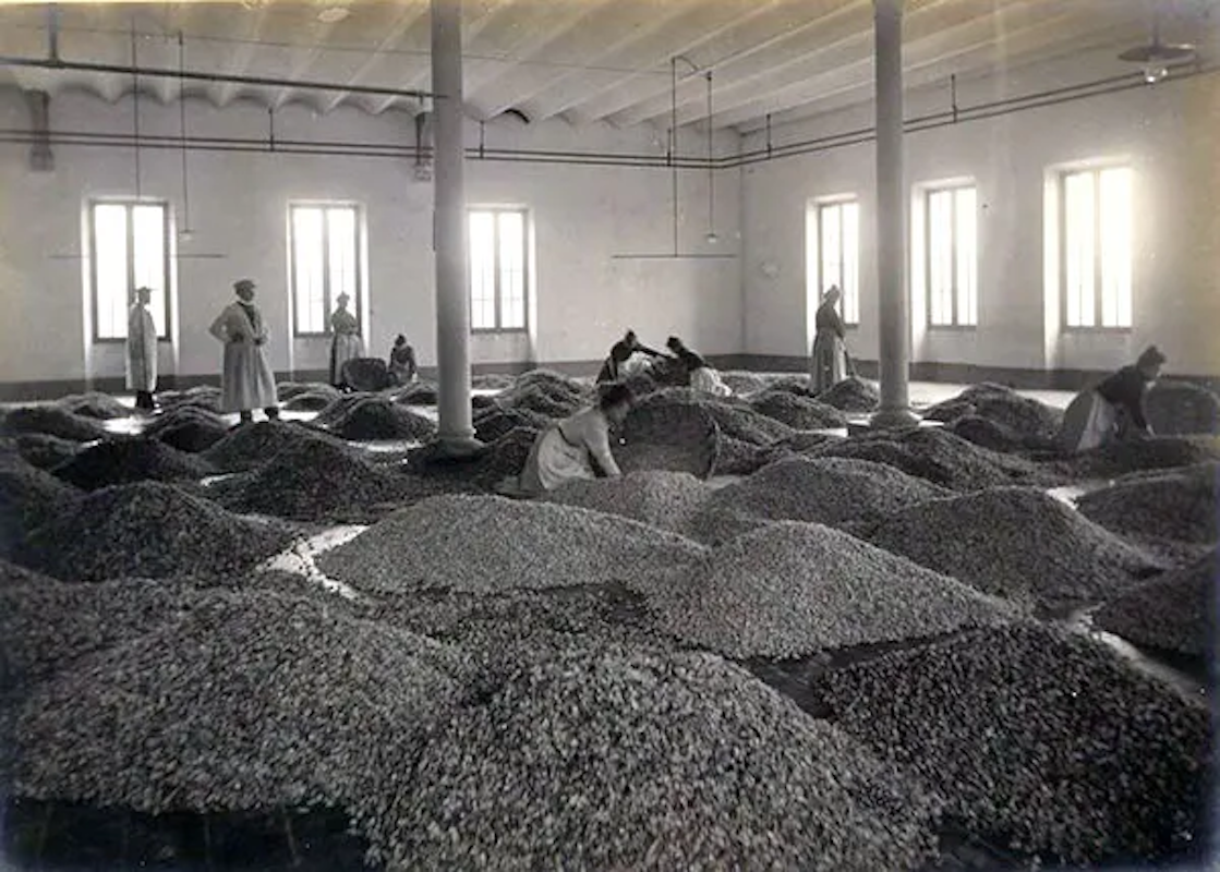 Arrival of 3000 kilograms of violets, from 'Industrie des Parfums a Grasse', c.1900. © Alinari Archives, Florence