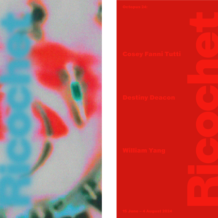 Octopus 24: Ricochet curated by Patrice Sharkey. Design by Tyrone Ormsby.