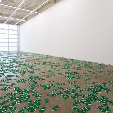 Installation view of An Unbroken Surface by Dane Mitchell, presented at Gertrude Glasshouse, 2024. Photo: Christian Capurro