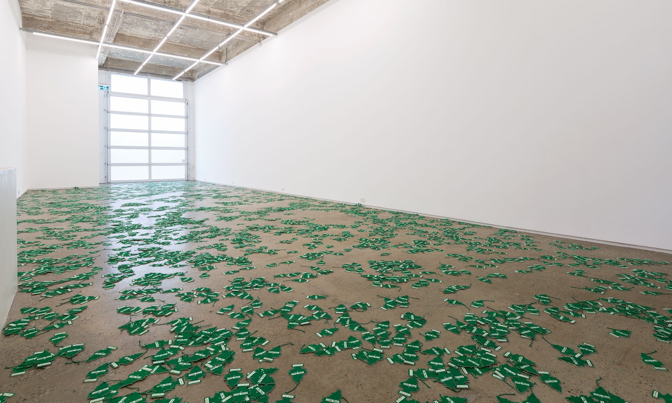 Installation view of An Unbroken Surface by Dane Mitchell, presented at Gertrude Glasshouse, 2024. Photo: Christian Capurro