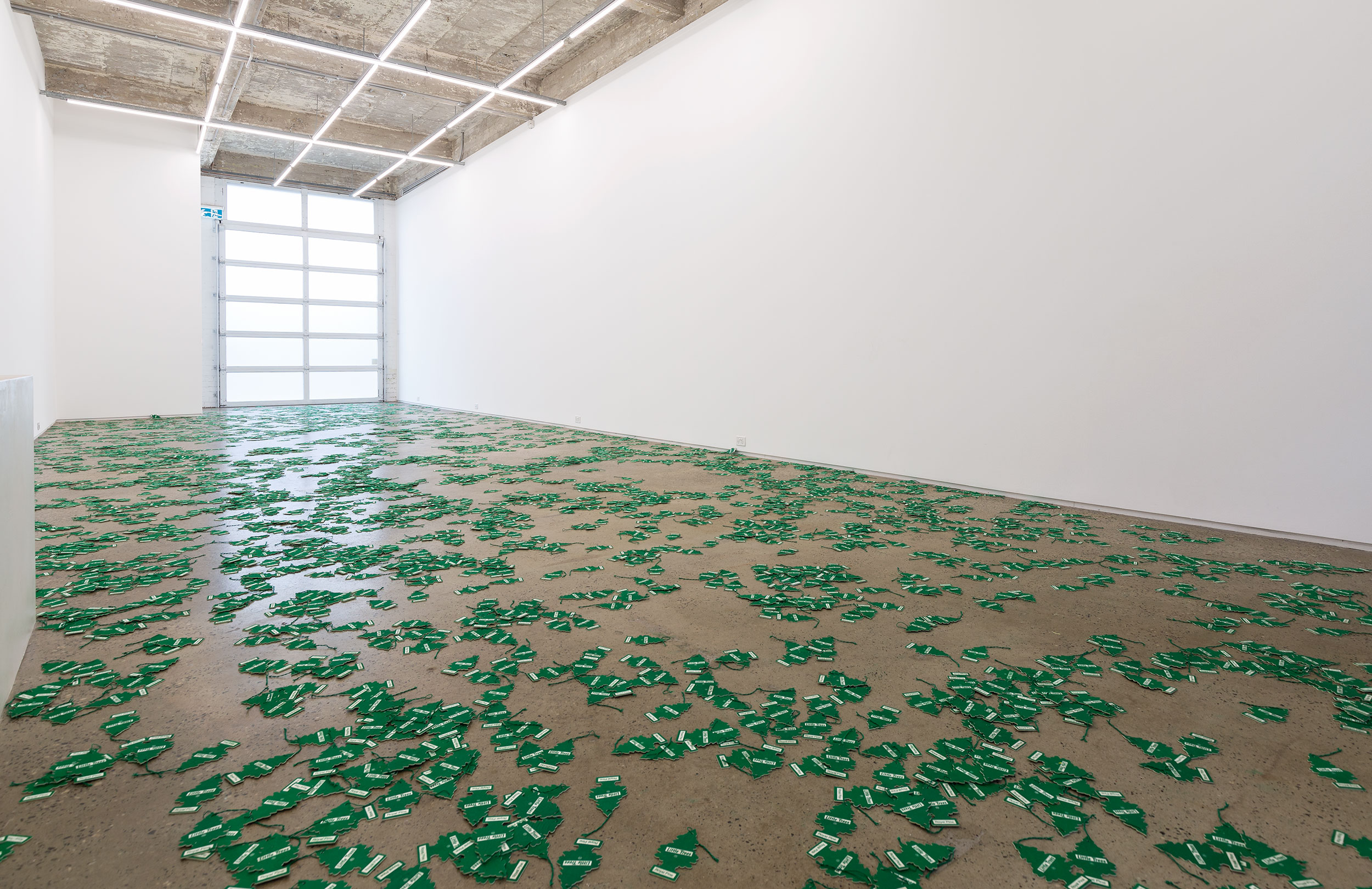 Installation view of An Unbroken Surface by Dane Mitchell, presented at Gertrude Glasshouse, 2024. Photo: Christian Capurro