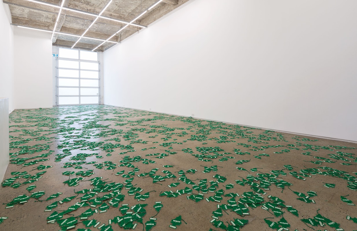 Installation view of An Unbroken Surface by Dane Mitchell, presented at Gertrude Glasshouse, 2024. Photo: Christian Capurro