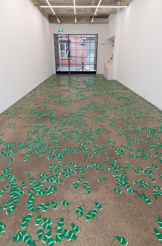 Installation view of An Unbroken Surface by Dane Mitchell, presented at Gertrude Glasshouse, 2024. Photo: Christian Capurro