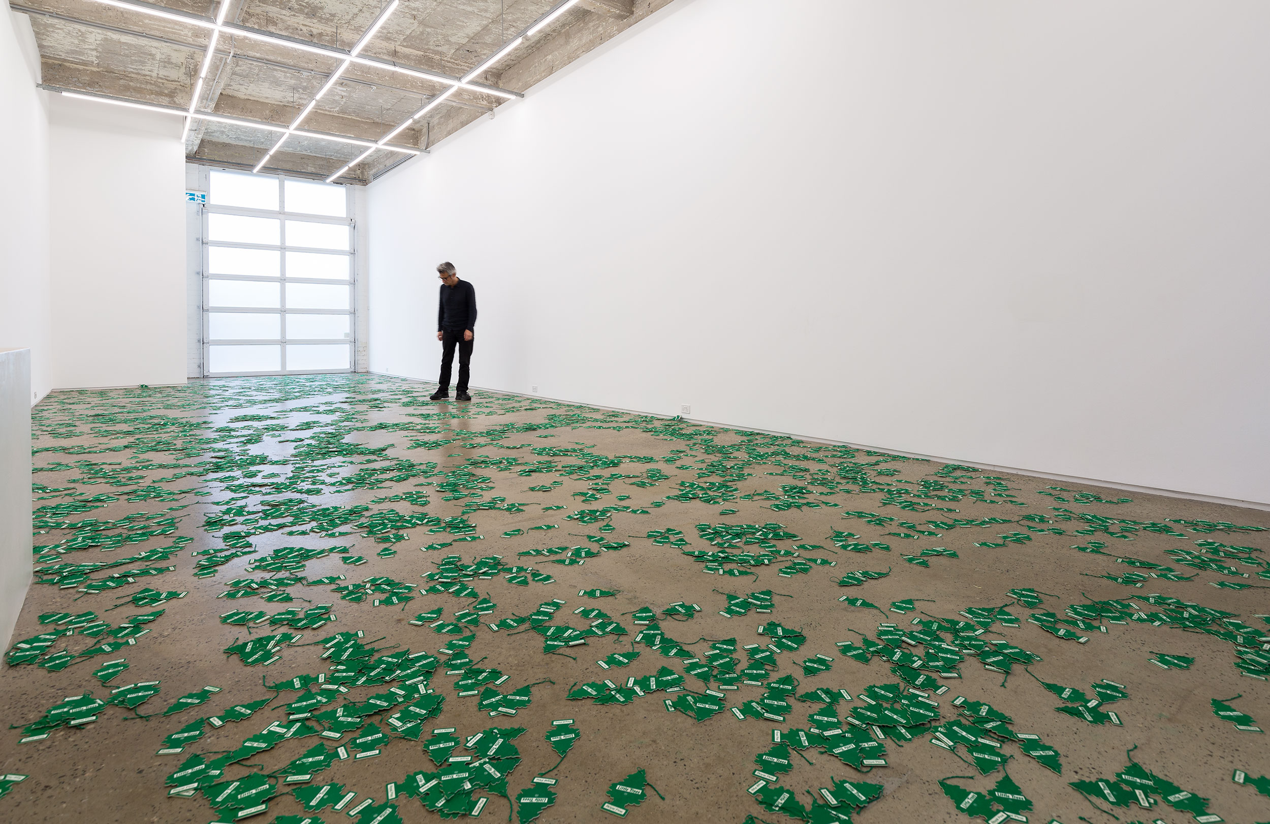 Installation view of An Unbroken Surface by Dane Mitchell, presented at Gertrude Glasshouse, 2024. Photo: Christian Capurro