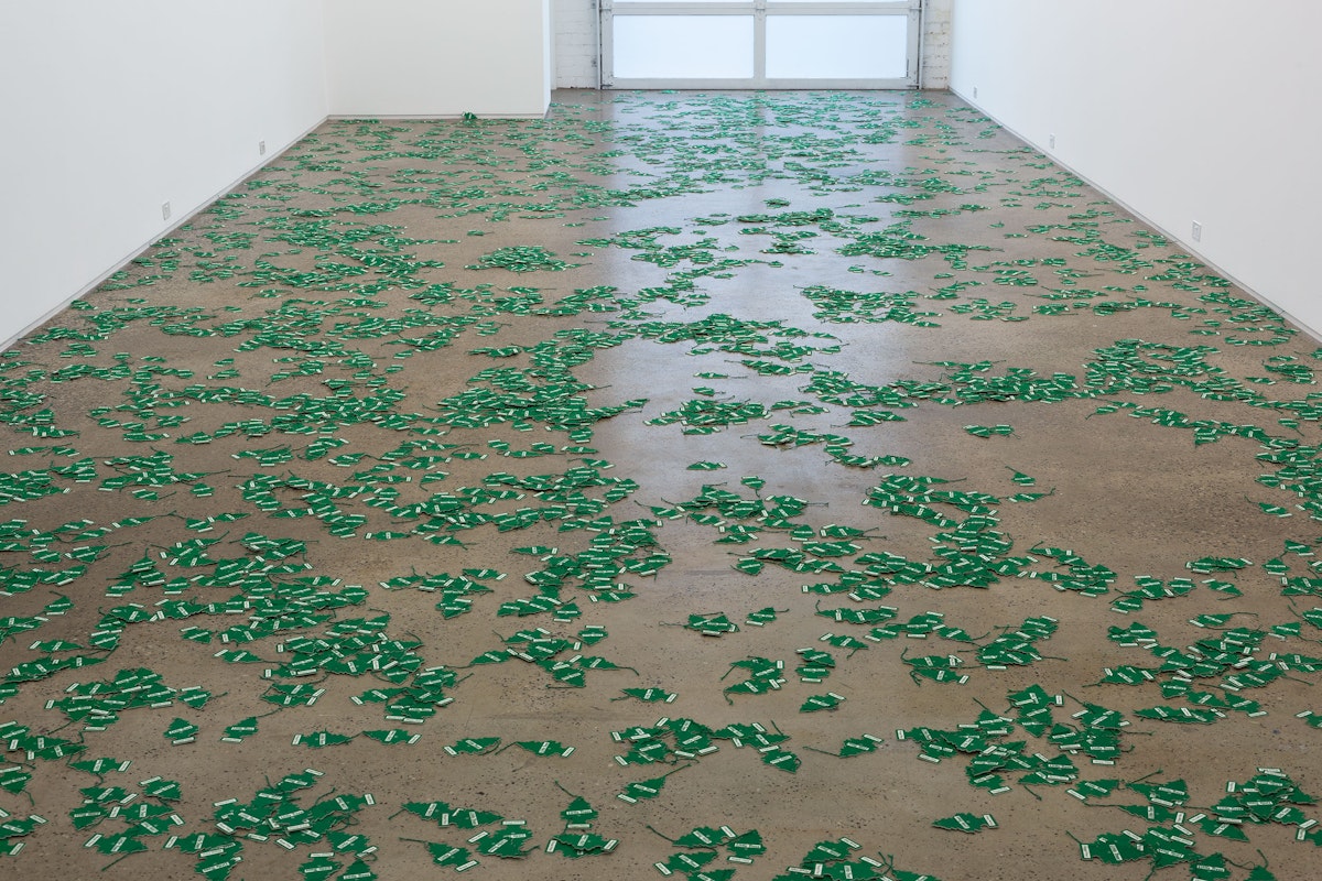 Installation view of An Unbroken Surface by Dane Mitchell, presented at Gertrude Glasshouse, 2024. Photo: Christian Capurro