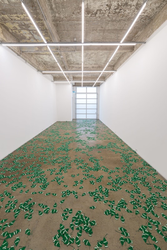 Installation view of An Unbroken Surface by Dane Mitchell, presented at Gertrude Glasshouse, 2024. Photo: Christian Capurro