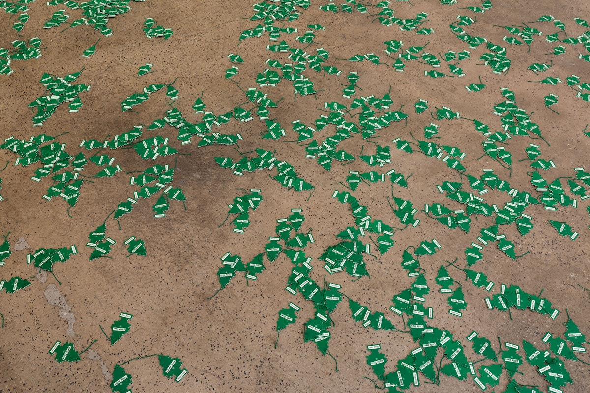 Installation view of An Unbroken Surface by Dane Mitchell, presented at Gertrude Glasshouse, 2024. Photo: Christian Capurro