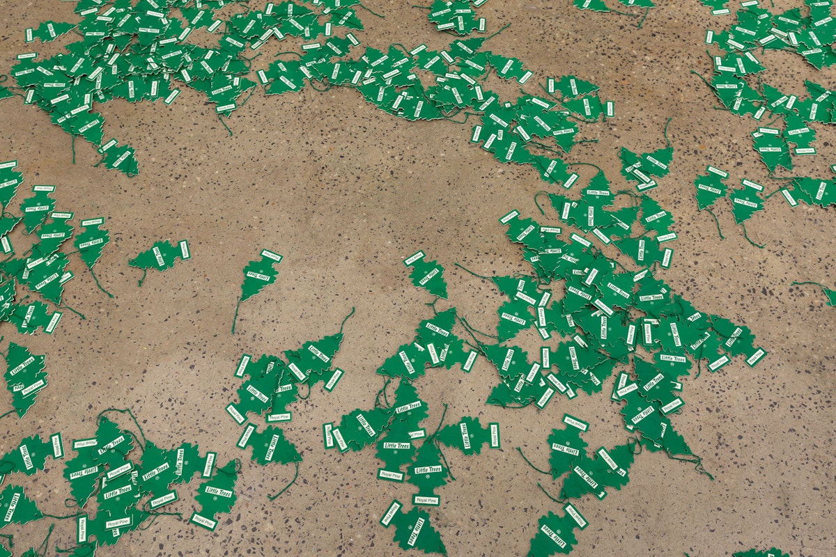 Installation view of An Unbroken Surface by Dane Mitchell, presented at Gertrude Glasshouse, 2024. Photo: Christian Capurro