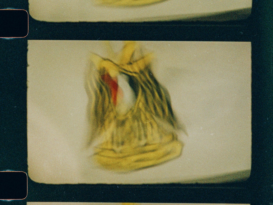 Ezz Monem, Golden Eagle (film still), 2024. Courtesy of the artist and THIS IS NO FANTASY, Naarm Melbourne.