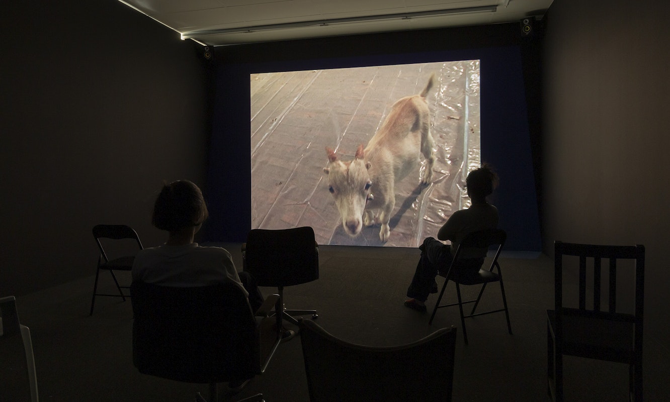 Pope.L, Small Cup, 2008, installation view, And This Time the Well Is Alive, Gertrude Contemporary, Naarm Melbourne, 2024, video with colour and sound, 12 minutes 52 seconds, image courtesy the Estate of Pope.L and Modern Art, London © the artist, photograph: Christian Capurro