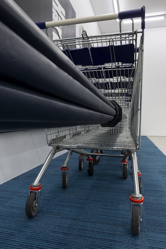 Alexandra Peters, Bottleneck, 2024: Foreign Line Extraction IV (Mains) (detail), 2024, vinyl, polyurethane ‘open cell’ foam and pine, enamel on ductile iron, acrylic, shopping trollies, Leg Over Leg (detail), 2024, commercial carpet tiles, installation view, And This Time the Well Is Alive, Gertrude Contemporary, Naarm Melbourne, 2024, image courtesy and © the artist, photograph: Christian Capurro