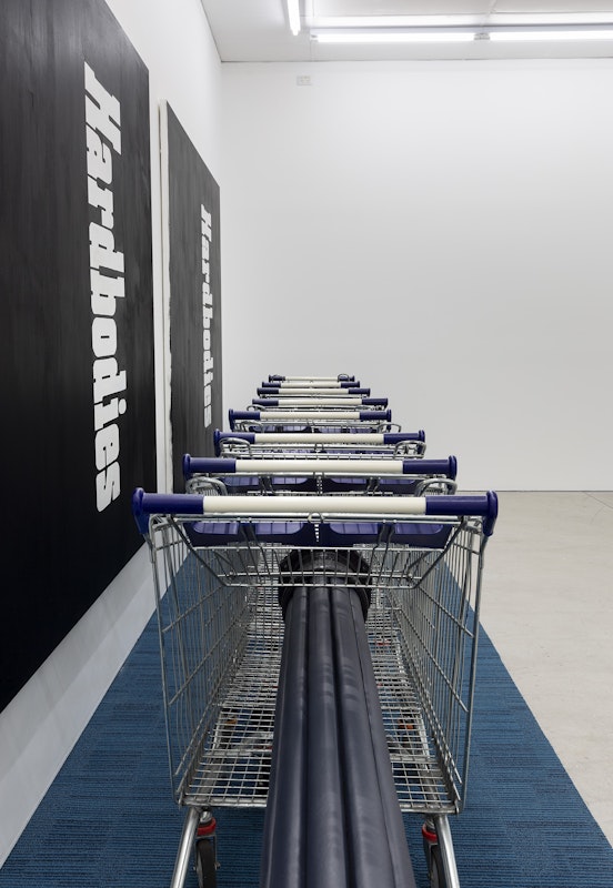 Alexandra Peters, Bottleneck, 2024: Foreign Line Extraction IV (Mains) (detail), 2024, vinyl, polyurethane ‘open cell’ foam and pine, enamel on ductile iron, acrylic, shopping trollies, Leg Over Leg (detail), 2024, commercial carpet tiles, installation view, And This Time the Well Is Alive, Gertrude Contemporary, Naarm Melbourne, 2024, image courtesy and © the artist, photograph: Christian Capurro