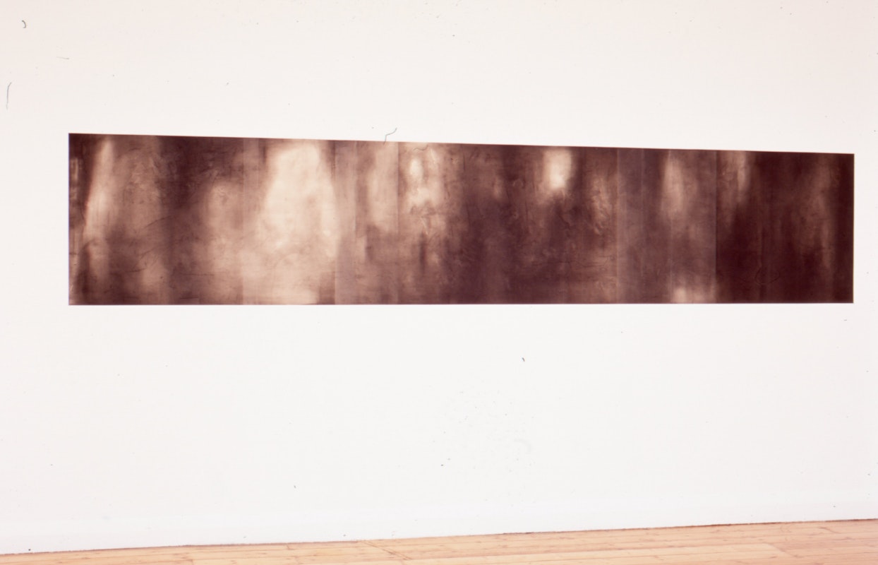 Detail, Simon Horsburgh, Octopus 3: Still time, presented at 200 Gertrude Street, 2002. Image courtesy of the Gertrude Archive.