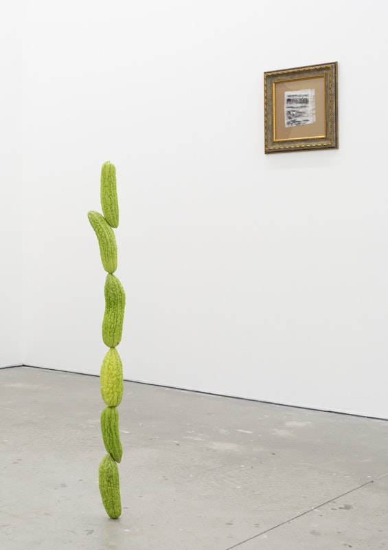 Yusi Zang, Swallow This Bitterness, 2024, bitter melons, steel rod; Yusi Zang, Scribble While Having a Tough Conversation, 2024, drawing on cereal bag, ornamental frame, installation view, Gertrude Studios, Gertrude Contemporary, Naarm Melbourne, 2024, image courtesy and © the artist and Animal House Fine Arts, Naarm Melbourne, photograph: Christian Capurro.