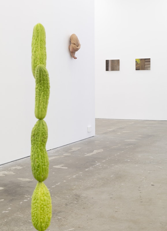 Installation view, Gertrude Studios, Gertrude Contemporary, Naarm Melbourne, 2024, image courtesy and © the artists, photograph: Christian Capurro.