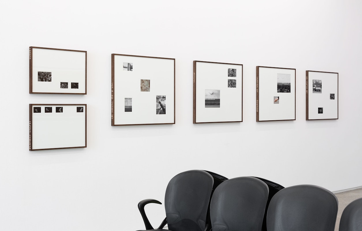 Veronica Charmont, I am flying in anxious circles, 2024, I am auspicious croaks, 2024, I am the remains of the local park, 2024, dedicated to recurring dreams of disaster, 2024, SINISTRA, 2024, The warning of a wing wandering through the air, 2024, Stephanie Wilson, Take (me) away, 2024, seating, carpet tiles, potted palm, pil on board painting, installation view, The Limits of my Language are the Limits of my World, Gertrude Glasshouse, Naarm Melbourne, 2024, archival print on baryta paper, cotton ragmount, stained hardwood frame, image courtesy and © the artist photograph: Christian Capurro