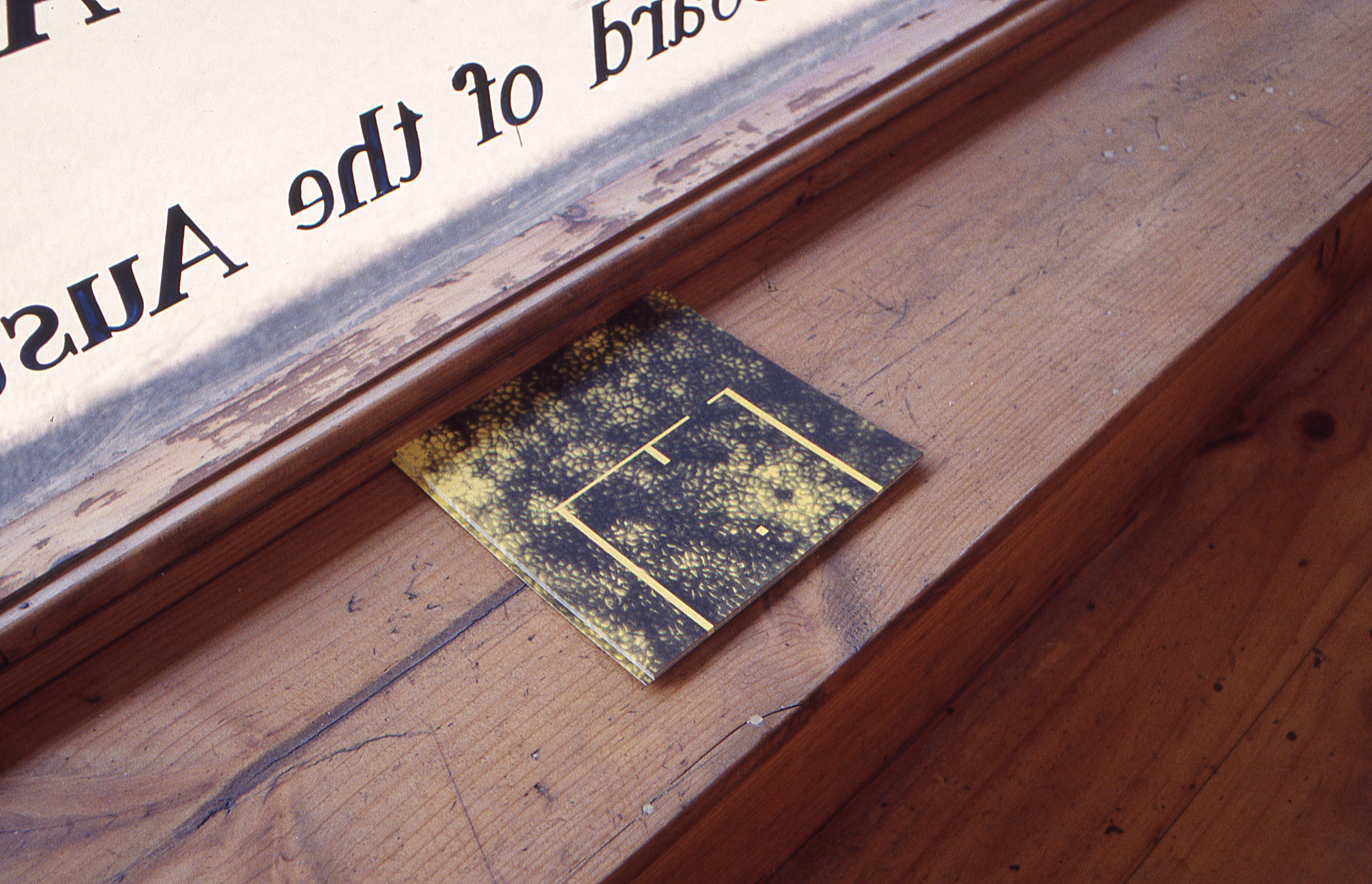 Slide image NaN
