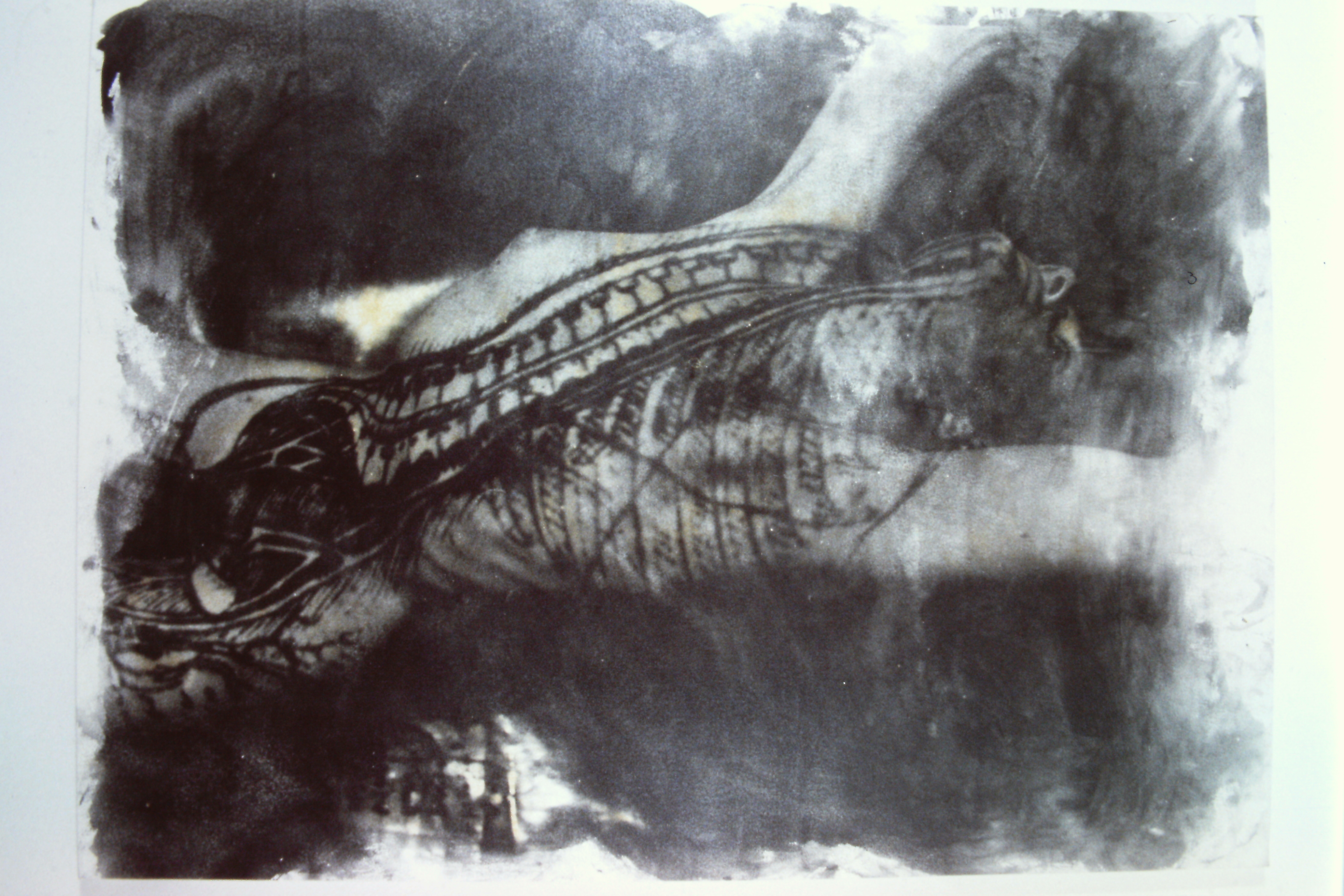 Slide image NaN