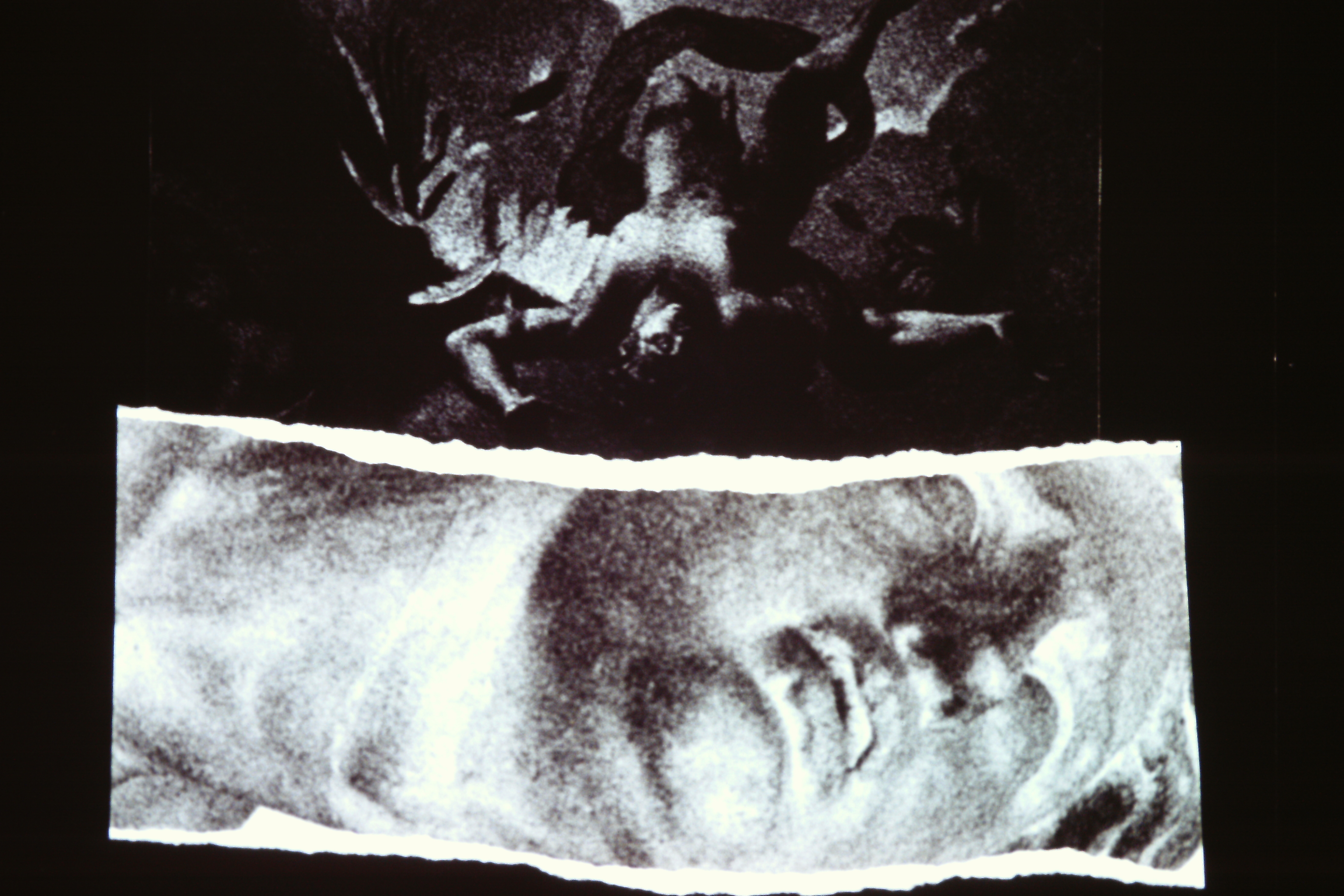 Slide image NaN