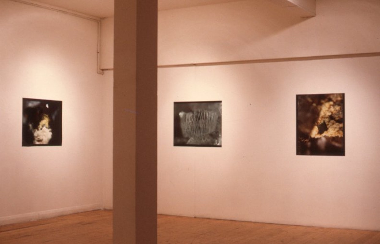 Installation View, Stephen Bram, Seven Photomicrographs, 200 Gertrude Street, Naarm Melbourne 1990. Courtesy and copyright the artist. Photo Courtesy the Gertrude Archive