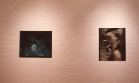 Installation View, Stephen Bram, Seven Photomicrographs, 200 Gertrude Street, Naarm Melbourne 1990. Courtesy and copyright the artist. Photo Courtesy the Gertrude Archive