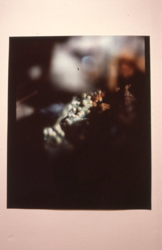 Jack Leach, Untitled Photograph, Iron Phosphates, Lake Boga.. 200 Gertrude Street, Naarm Melbourne 1990. Courtesy and copyright the artist. Photo Courtesy the Gertrude Archive digitised from slide (2025)