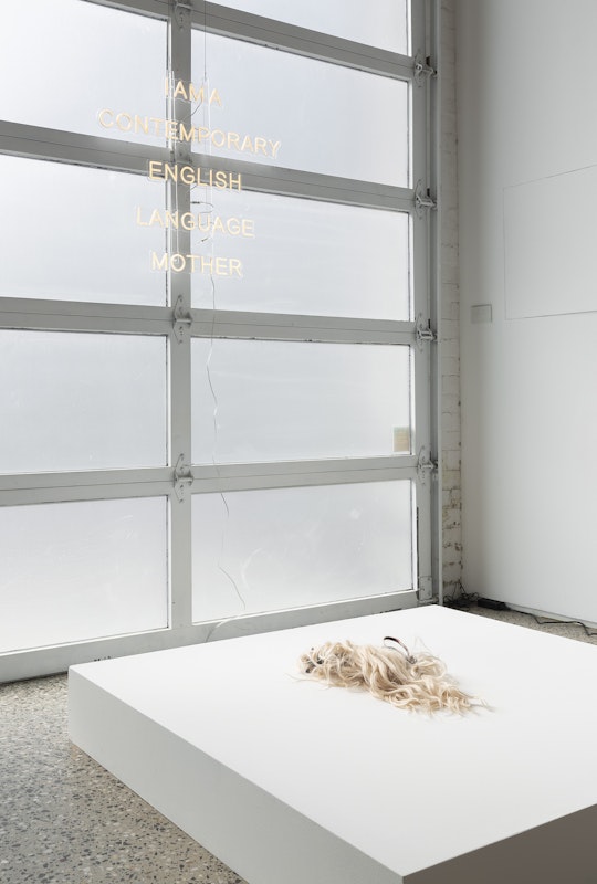 Chunxiao Qu, I AM A CONTEMPORARY ENGLISH LANGUAGE MOTHER, 2025, LED neon with transparent acrylic frames, 80 x 73.39 cm; and Wig Shoes No. 2, Balenciaga shoes, synthetic wig, 30 x 8 x 10 cm, courtesy of the artist and FUTURES, Naarm Melbourne, installation view, Gertrude Glasshouse, Naarm Melbourne, 2025, photography: Christian Capurro