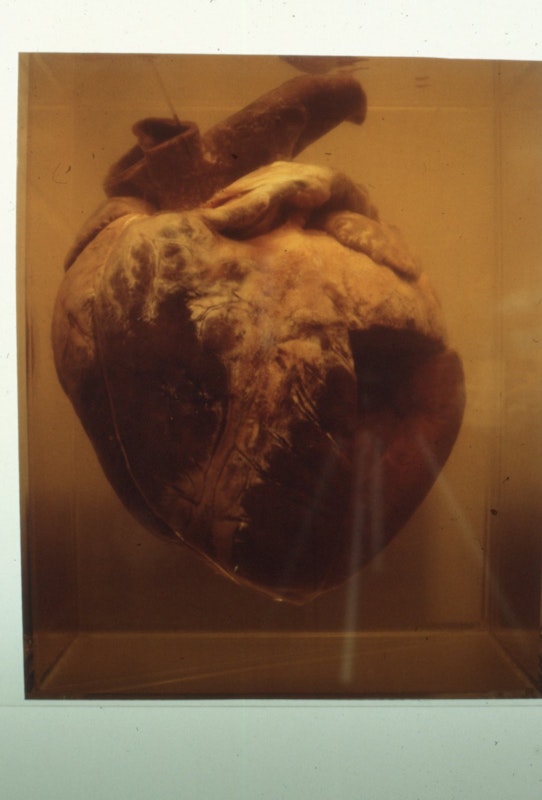 Fitz Rahmann, Phar Lap's Heart, 1990, 200 Gertrude Street, Fitzroy, Naarm Melbourne