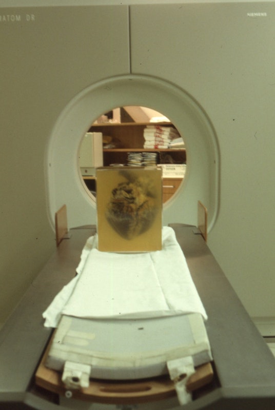 Fitz Rahmann, Phar Lap's Heart, 1990, 200 Gertrude Street, Fitzroy, Naarm Melbourne