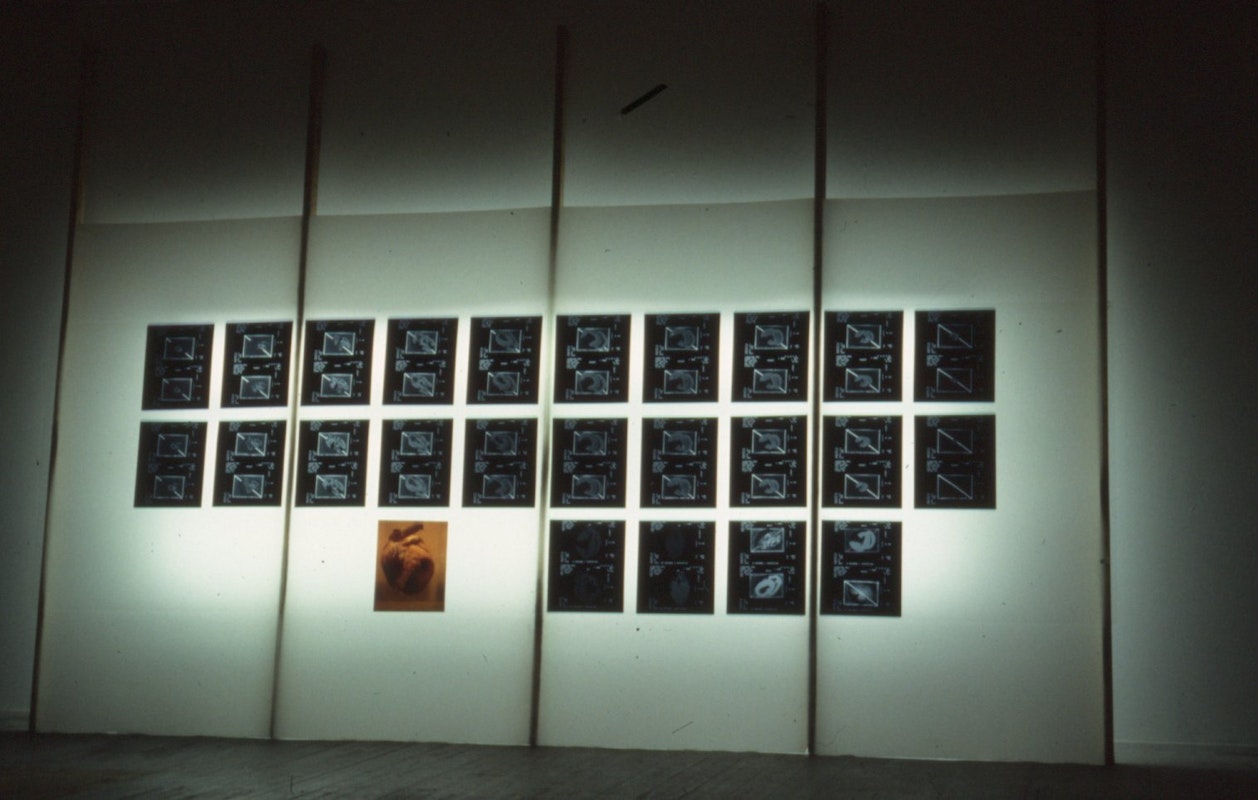 Fitz Rahmann, Phar Lap's Heart, 1990, 200 Gertrude Street, Fitzroy, Naarm Melbourne