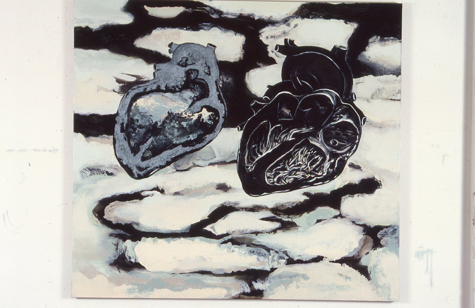 Slide image NaN