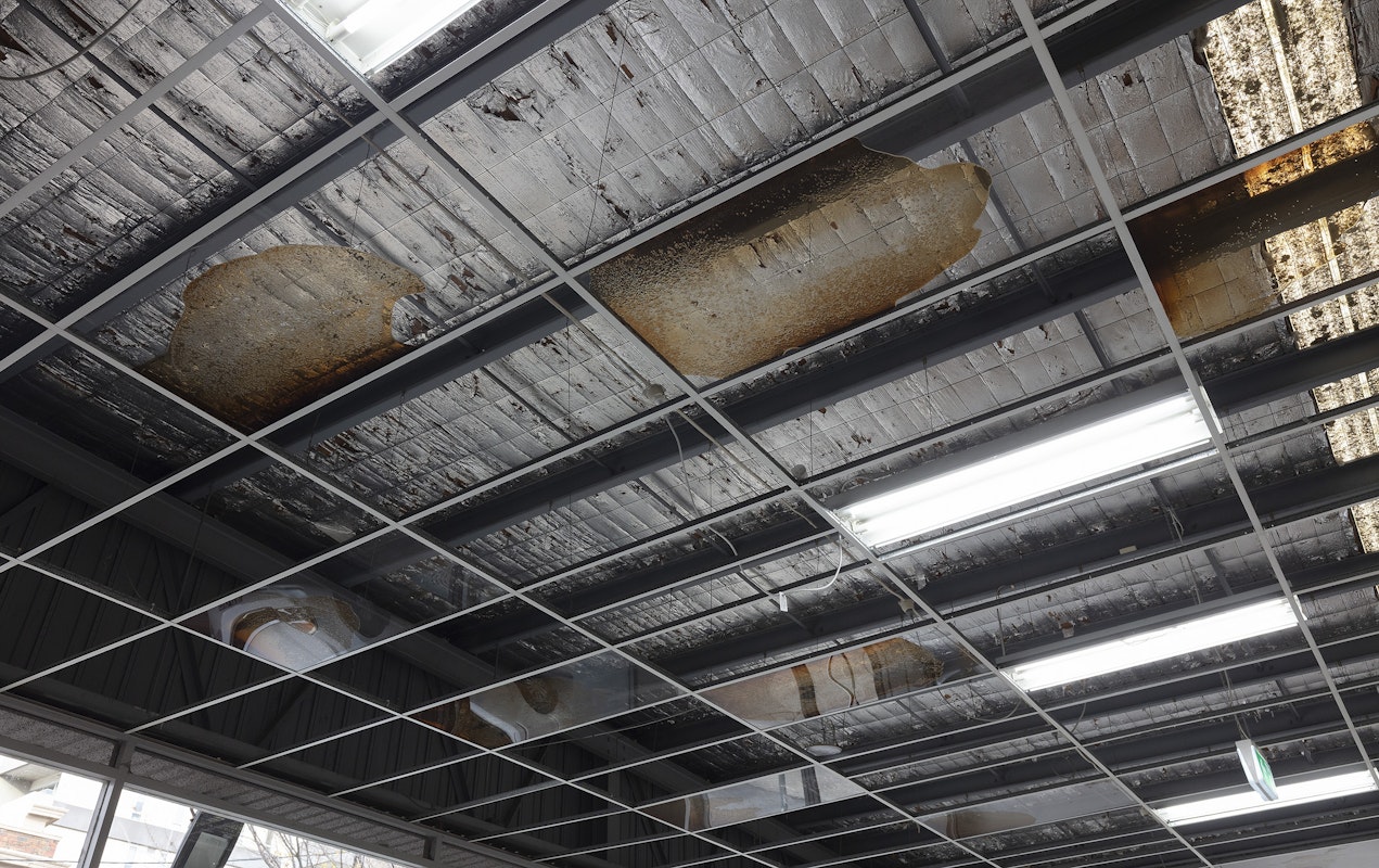 Foster Berean, Lower Expectations, 2025, installation view, Of Stadiums and Construction Sites (Ne change rien pour que tout soit différent), Gertrude Contemporary, Naarm Melbourne, 2025, ceiling panels, bourbon, coke, image courtesy and © the artists, photograph: Christian Capurro