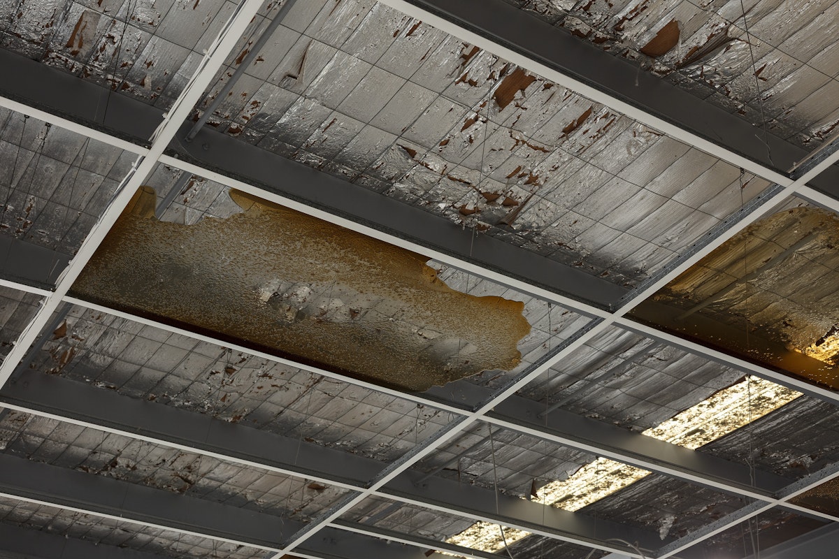 Foster Berean, Lower Expectations, 2025, installation view, Of Stadiums and Construction Sites (Ne change rien pour que tout soit différent), Gertrude Contemporary, Naarm Melbourne, 2025, ceiling panels, bourbon, coke, image courtesy and © the artists, photograph: Christian Capurro