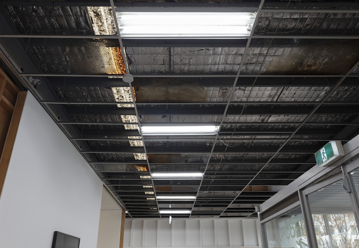 Foster Berean, Lower Expectations, 2025, installation view, Of Stadiums and Construction Sites (Ne change rien pour que tout soit différent), Gertrude Contemporary, Naarm Melbourne, 2025, ceiling panels, bourbon, coke, image courtesy and © the artists, photograph: Christian Capurro