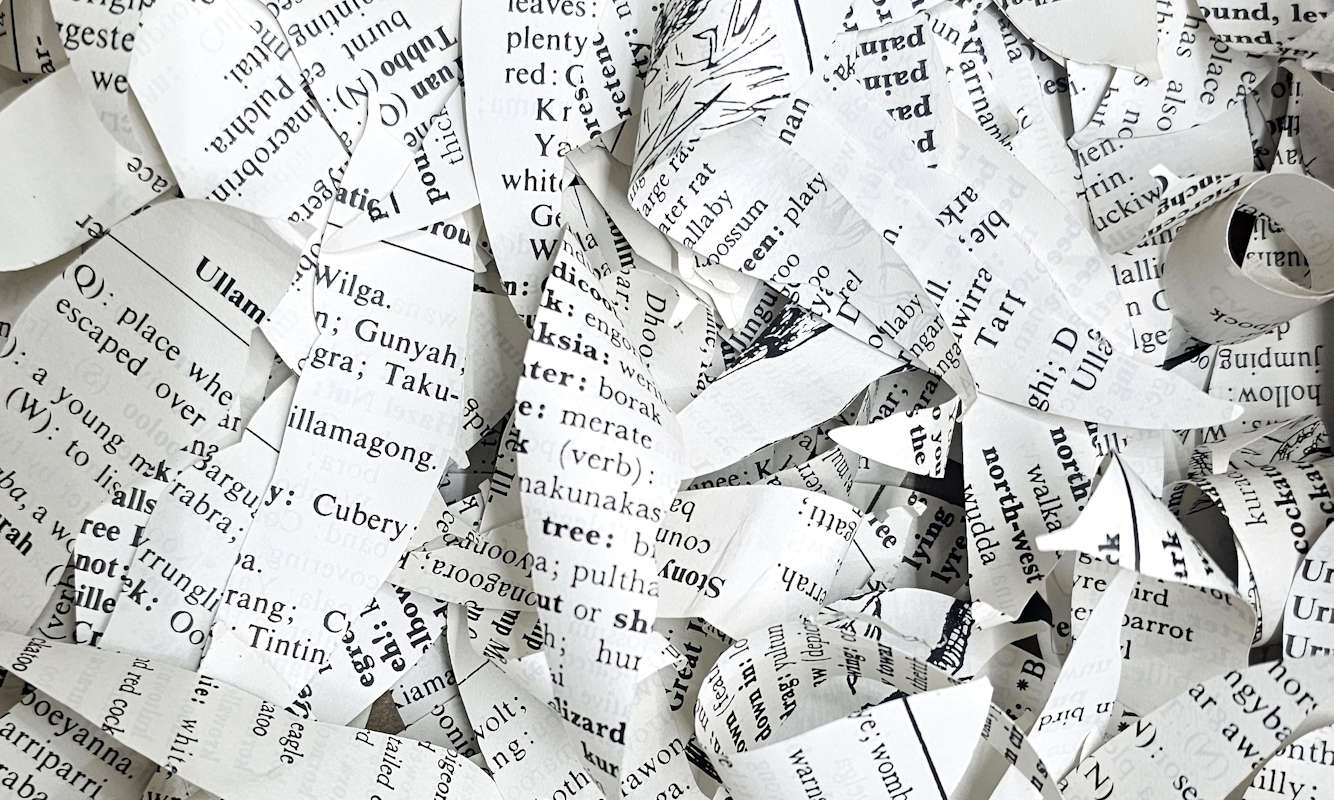 Jenna Lee, Loose leaf (litter), 2025, pages of Aboriginal Words and Place Names, image courtesy the artist and MARS Gallery, Naarm Melbourne © the artist, photograph: Jenna Lee