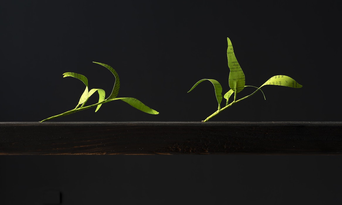 Jenna Lee, Burn before reading (detail), 2025, installation view, pages of Aboriginal Words and Place Names, calligraphy ink, florist wire, glue, Burn Before Reading, Gertrude Glasshouse, Naarm Melbourne, 2025, image courtesy of the artist and MARS Gallery, Naarm Melbourne © the artist, photograph: Christian Capurro