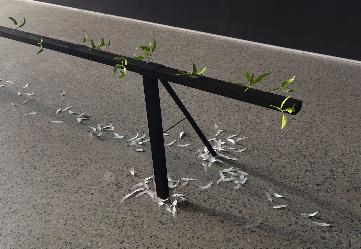 Jenna Lee, Burn before reading (detail), 2025, pages of Aboriginal Words and Place Names, calligraphy ink, florist wire, glue; Loose leaf (litter) (detail), 2025, pages of Aboriginal Words and Place Names, installation view, Burn Before Reading, Gertrude Glasshouse, Naarm Melbourne, 2025, image courtesy of the artist and MARS Gallery, Naarm Melbourne © the artist, photograph: Christian Capurro