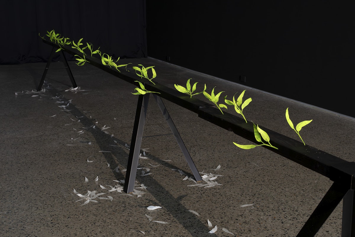 Jenna Lee, Burn before reading, 2025, pages of Aboriginal Words and Place Names, calligraphy ink, florist wire, glue; Loose leaf (litter), 2025 pages of Aboriginal Words and Place Names, installation view, Burn Before Reading, Gertrude Glasshouse, Naarm Melbourne, 2025, image courtesy of the artist and MARS Gallery, Naarm Melbourne © the artist, photograph: Christian Capurro