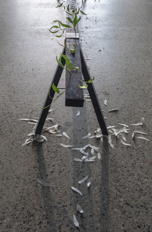 Jenna Lee, Burn before reading (detail), 2025, pages of Aboriginal Words and Place Names, calligraphy ink, florist wire, glue; Loose leaf (litter) (detail), 2025, pages of Aboriginal Words and Place Names, installation view, Burn Before Reading, Gertrude Glasshouse, Naarm Melbourne, 2025, image courtesy of the artist and MARS Gallery, Naarm Melbourne © the artist, photograph: Christian Capurro