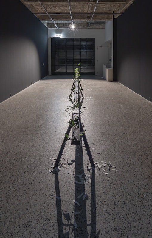 Jenna Lee, Burn before reading, 2025, pages of Aboriginal Words and Place Names, calligraphy ink, florist wire, glue; Loose leaf (litter), 2025 pages of Aboriginal Words and Place Names, installation view, Burn Before Reading, Gertrude Glasshouse, Naarm Melbourne, 2025, image courtesy of the artist and MARS Gallery, Naarm Melbourne © the artist, photograph: Christian Capurro