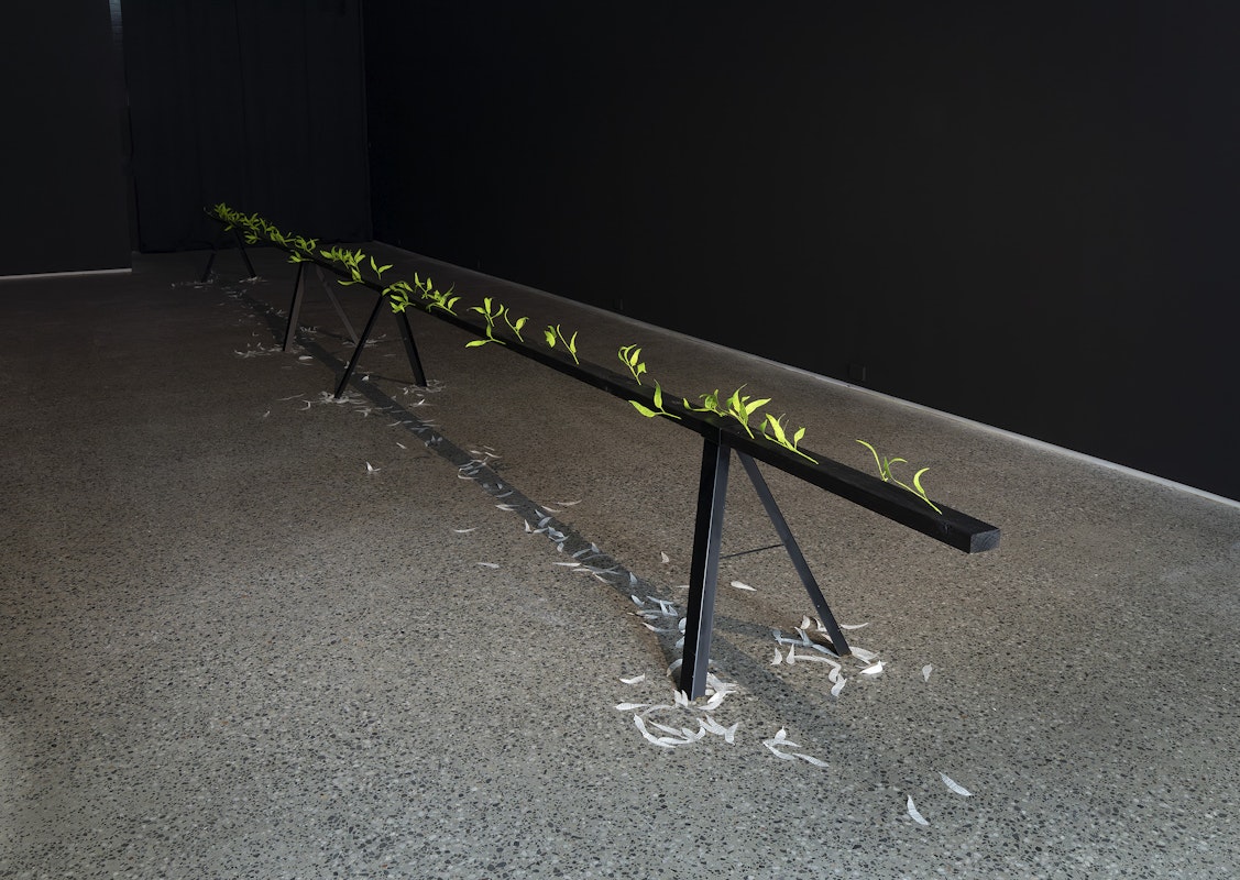 Jenna Lee, Burn before reading (detail), 2025, pages of Aboriginal Words and Place Names, calligraphy ink, florist wire, glue; Loose leaf (litter) (detail), 2025, pages of Aboriginal Words and Place Names, installation view, Burn Before Reading, Gertrude Glasshouse, Naarm Melbourne, 2025, image courtesy of the artist and MARS Gallery, Naarm Melbourne © the artist, photograph: Christian Capurro