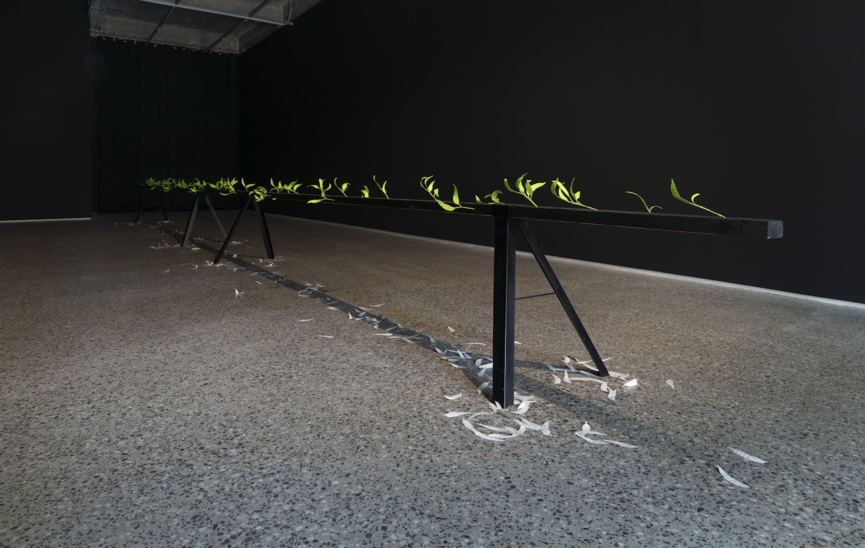 Jenna Lee, Burn before reading (detail), 2025, pages of Aboriginal Words and Place Names, calligraphy ink, florist wire, glue; Loose leaf (litter) (detail), 2025, pages of Aboriginal Words and Place Names, installation view, Burn Before Reading, Gertrude Glasshouse, Naarm Melbourne, 2025, image courtesy of the artist and MARS Gallery, Naarm Melbourne © the artist, photograph: Christian Capurro