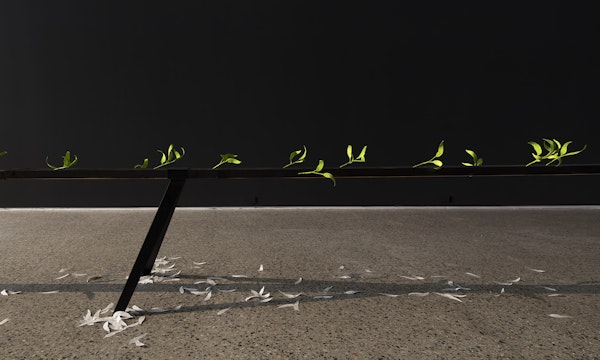 Jenna Lee, Burn before reading (detail), 2025, pages of Aboriginal Words and Place Names, calligraphy ink, florist wire, glue; Loose leaf (litter) (detail), 2025, pages of Aboriginal Words and Place Names, installation view, Burn Before Reading, Gertrude Glasshouse, Naarm Melbourne, 2025, image courtesy of the artist and MARS Gallery, Naarm Melbourne © the artist, photograph: Christian Capurro