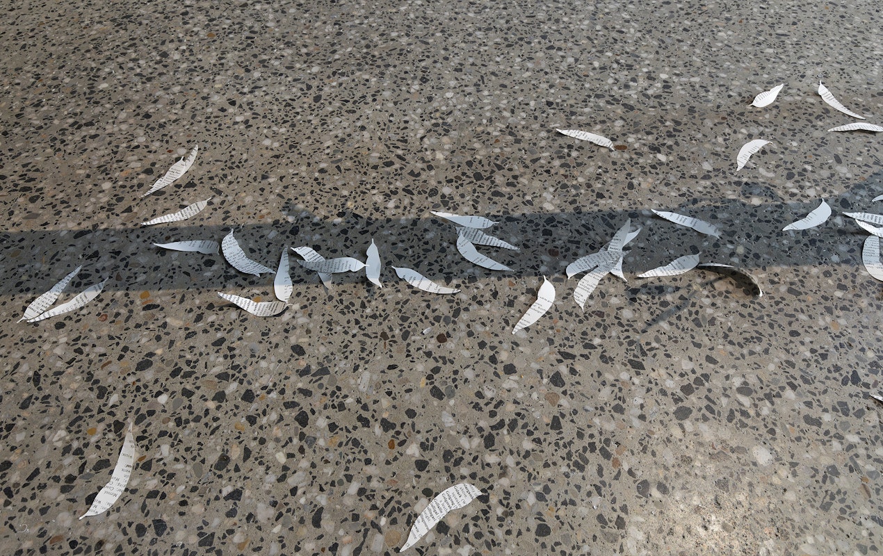 Jenna Lee, Loose leaf (litter) (detail), 2025, installation view, pages of Aboriginal Words and Place Names, Burn Before Reading, Gertrude Glasshouse, Naarm Melbourne, 2025, image courtesy of the artist and MARS Gallery, Naarm Melbourne © the artist, photograph: Christian Capurro