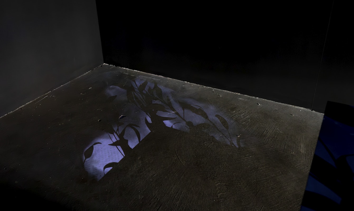 Jenna Lee, Blackened Tongue (detail), 2025, installation view, Various Small Fires, Gertrude Contemporary, Naarm Melbourne, 2025, sumi ink, repurposed Bosistos eucalyptus oil bottles, wire, glue, single-channel video, colour, silent, image courtesy of the artist and MARS Gallery, Naarm Melbourne, photograph: Christian Capurro