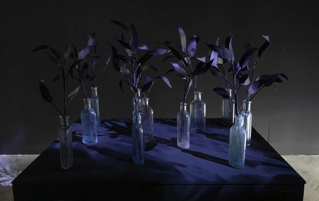 Jenna Lee, Blackened Tongue (detail), 2025, installation view, Various Small Fires, Gertrude Contemporary, Naarm Melbourne, 2025, sumi ink, repurposed Bosistos eucalyptus oil bottles, wire, glue, single-channel video, colour, silent, image courtesy of the artist and MARS Gallery, Naarm Melbourne, photograph: Christian Capurro