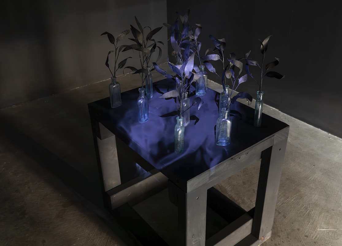 Jenna Lee, Blackened Tongue (detail), 2025, installation view, Various Small Fires, Gertrude Contemporary, Naarm Melbourne, 2025, sumi ink, repurposed Bosistos eucalyptus oil bottles, wire, glue, single-channel video, colour, silent, image courtesy of the artist and MARS Gallery, Naarm Melbourne, photograph: Christian Capurro